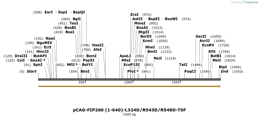 411072_map