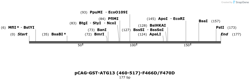 411074_map
