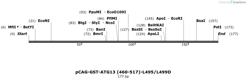 411076_map