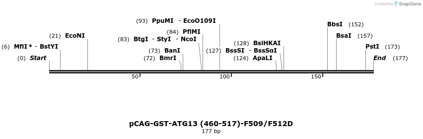 411077_map