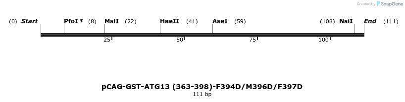 411078_map