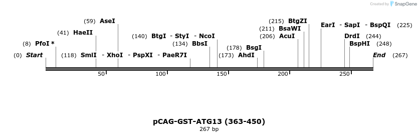 411079_map