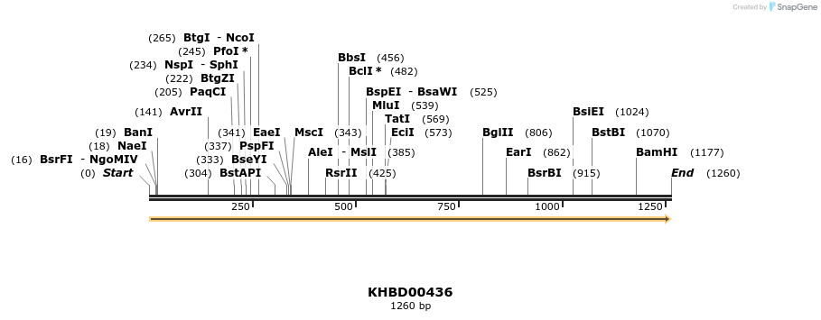 41108_map