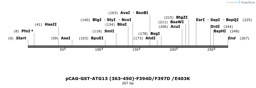 411080_map