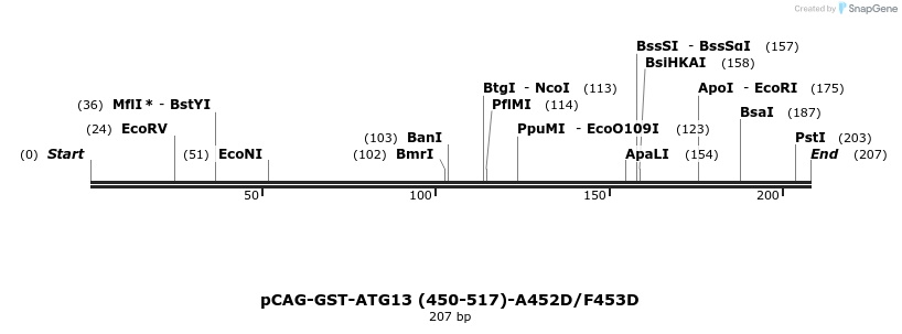 411081_map