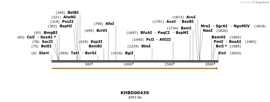 41109_map