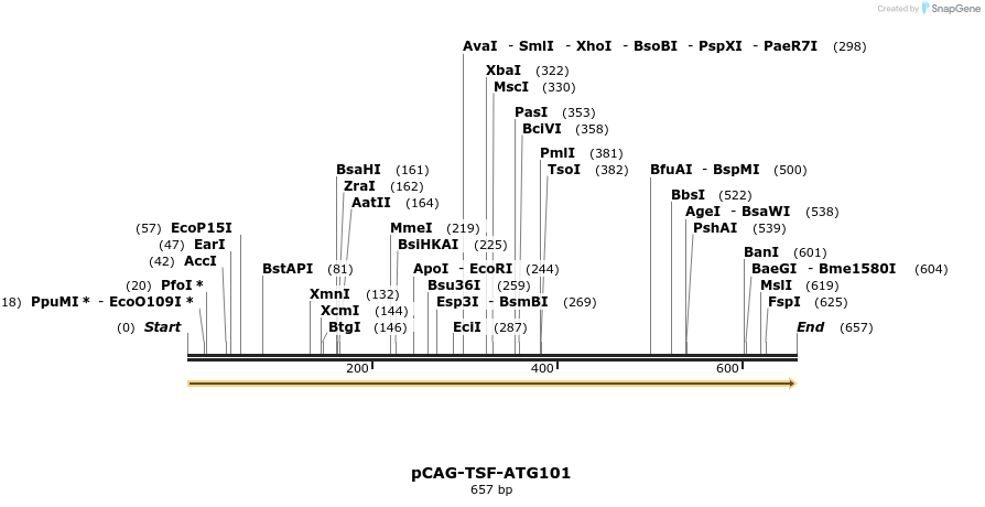 411094_map