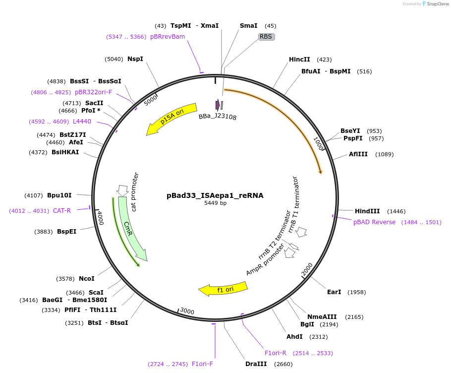 411096_map