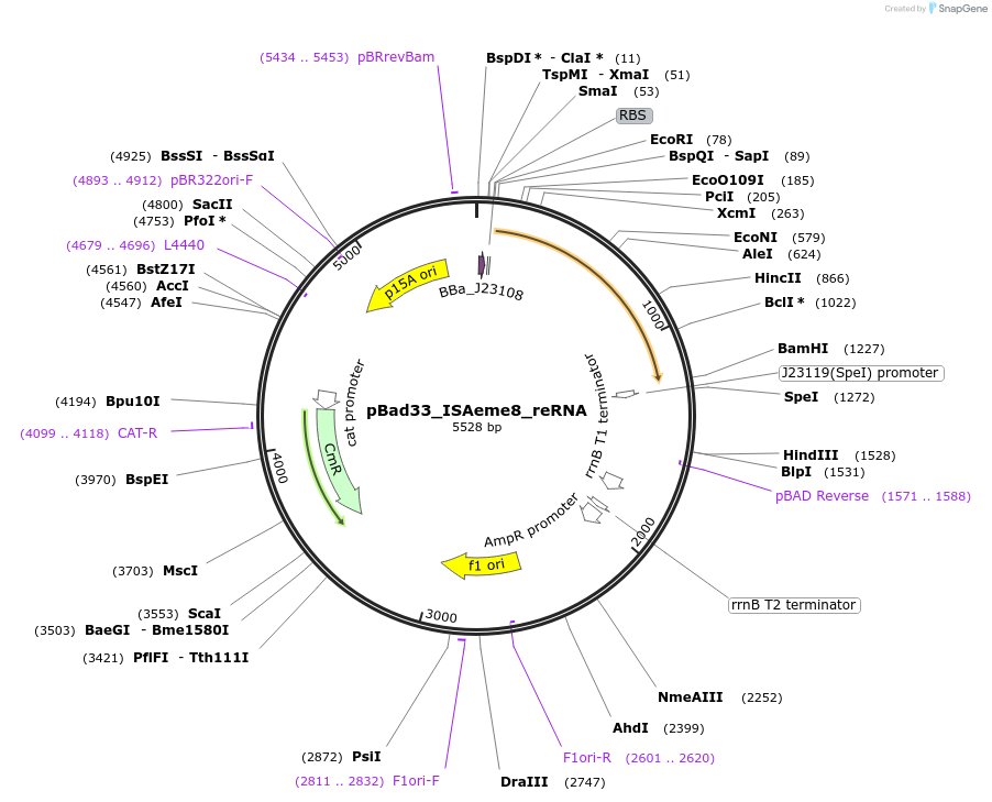 411098_map