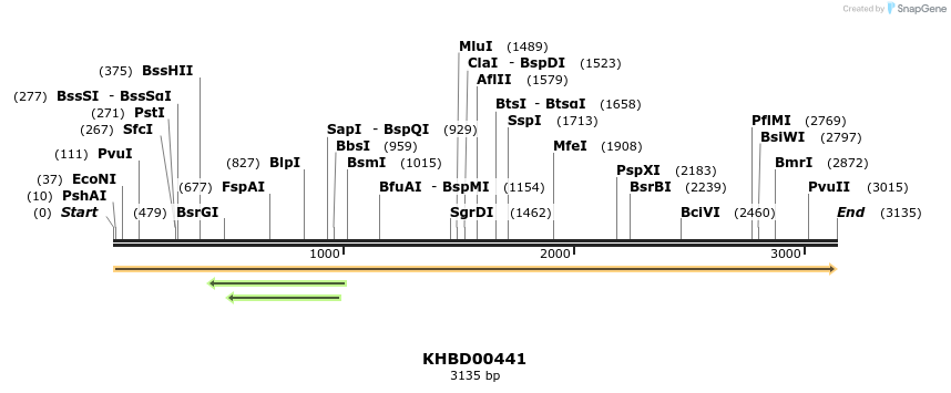 41111_map