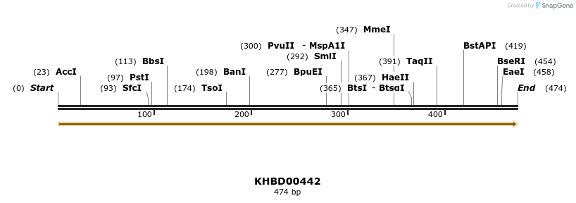41112_map