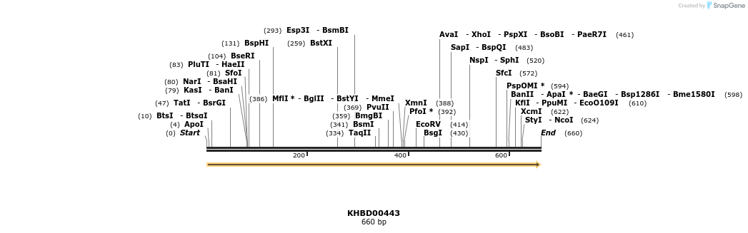 41113_map