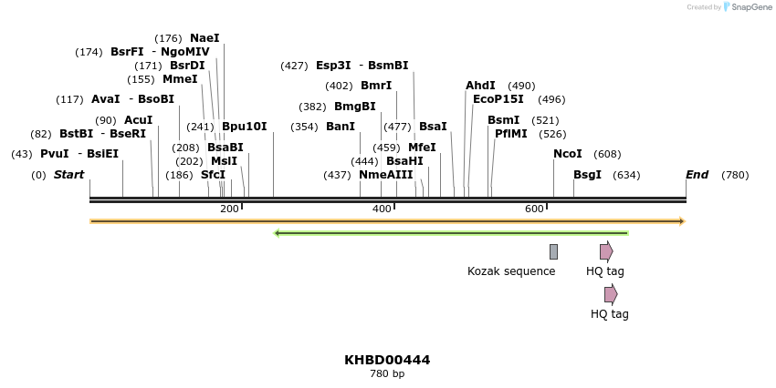 41114_map