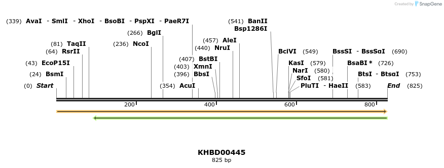 41115_map