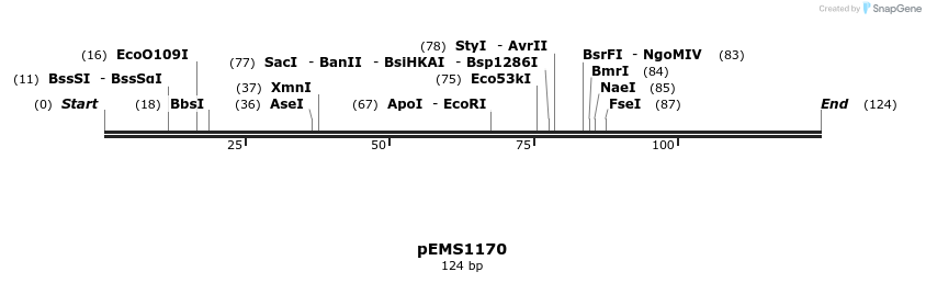 41116_map