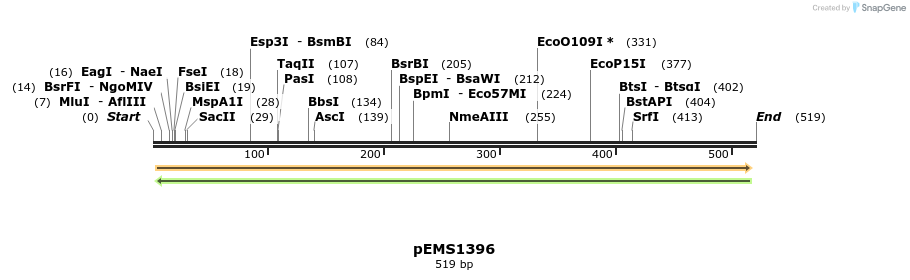 41119_map