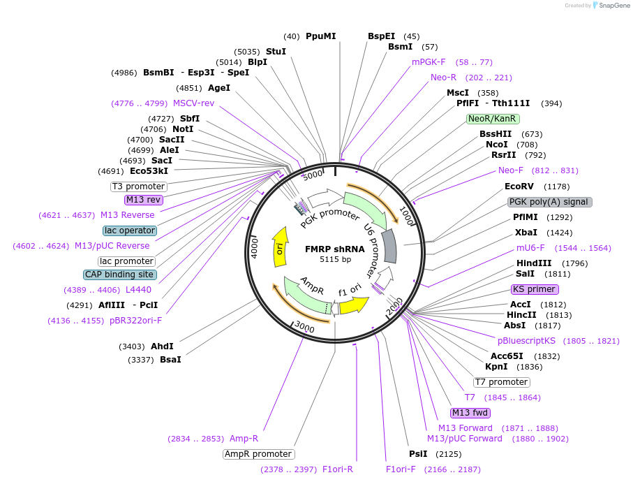 411197_map