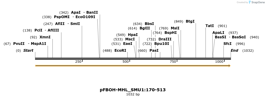 411230_map