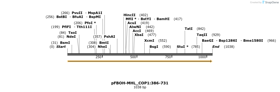 411245_map