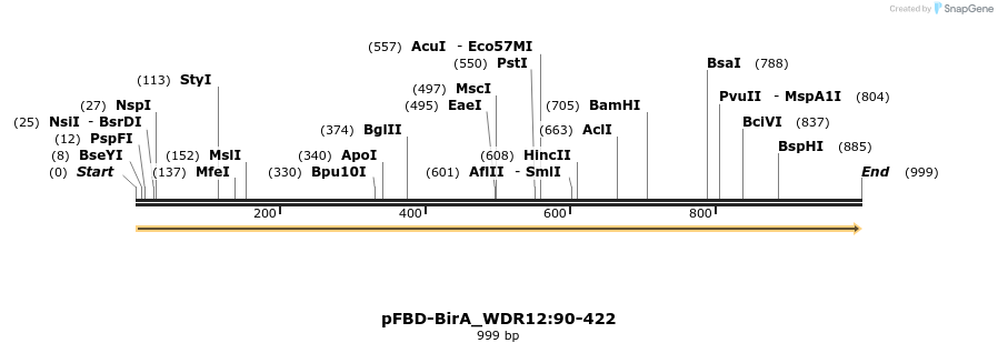 411263_map
