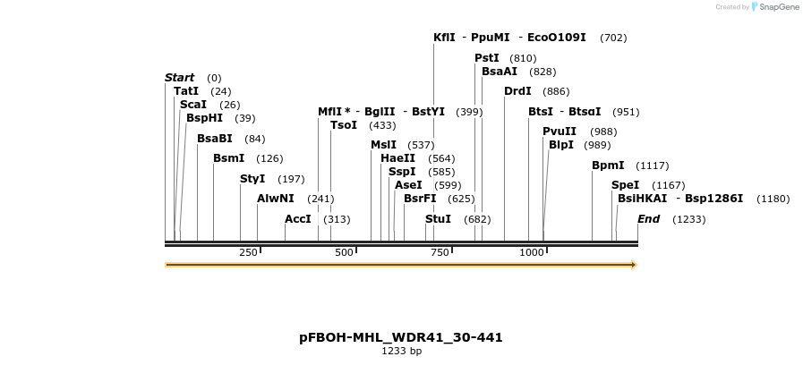 411269_map