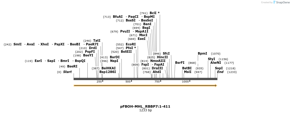411276_map