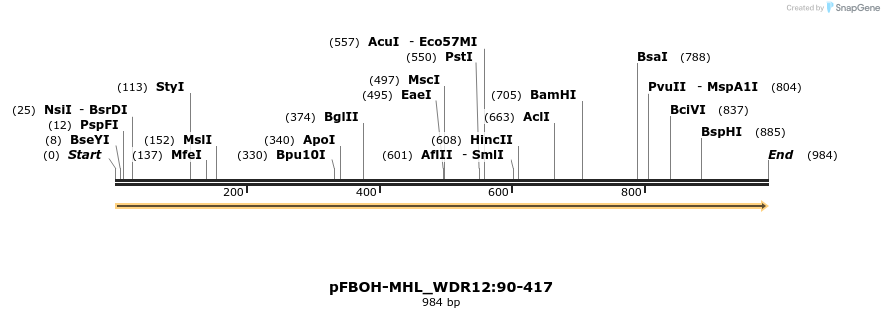 411286_map