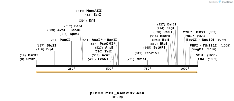 411288_map