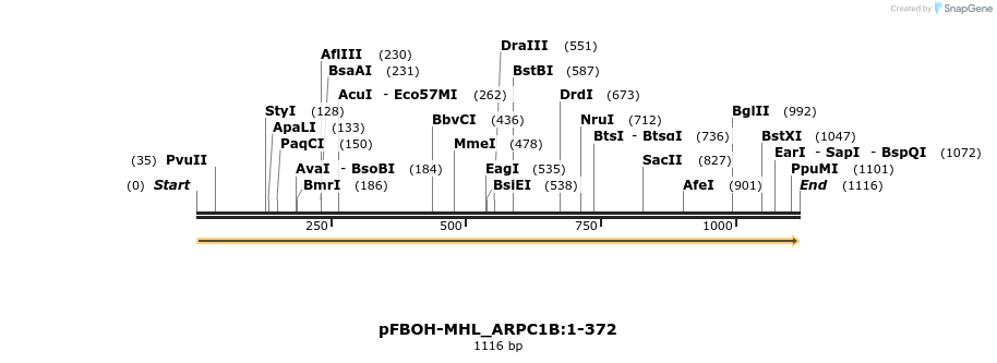 411290_map