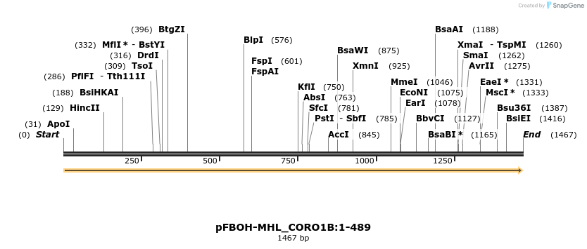 411292_map