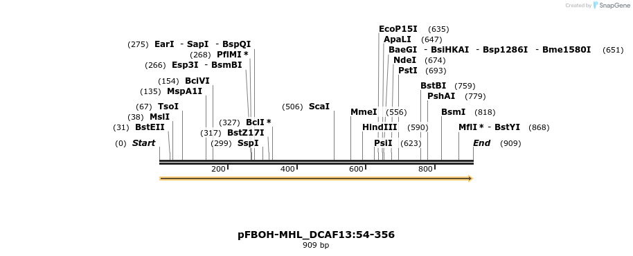 411296_map