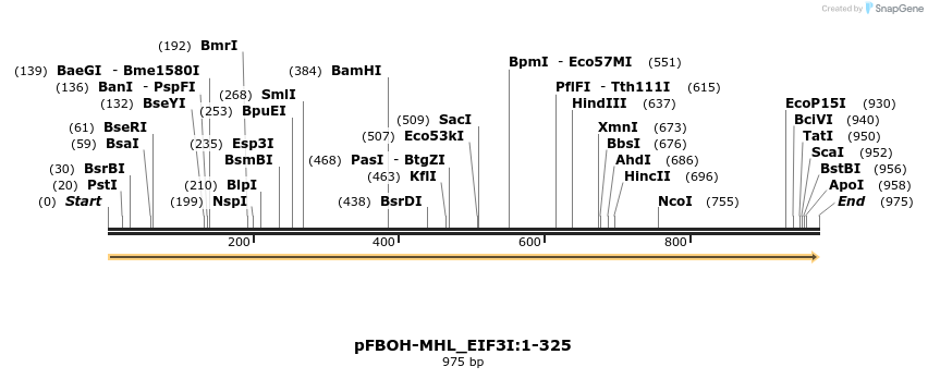 411300_map