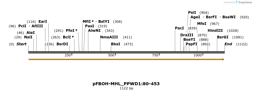 411302_map