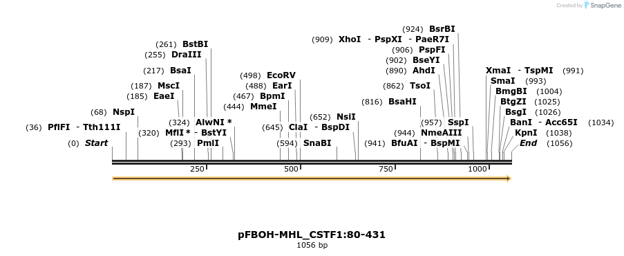 411304_map