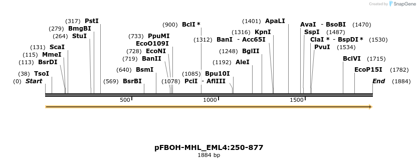 411308_map