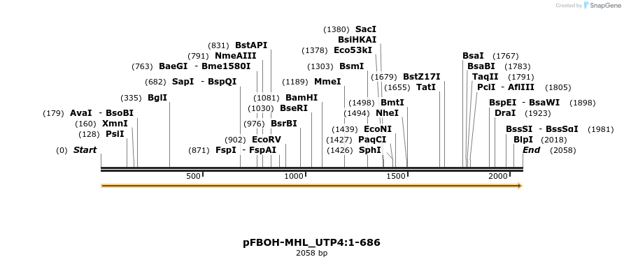 411310_map
