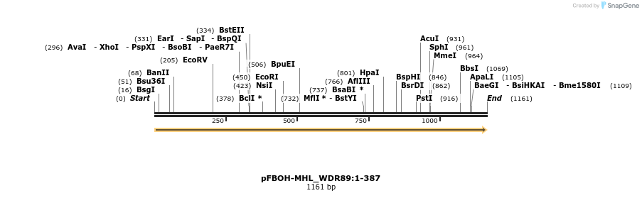 411312_map