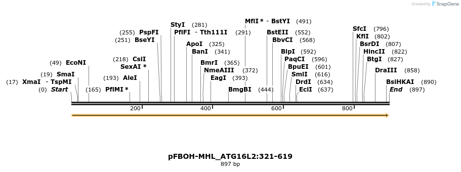 411316_map