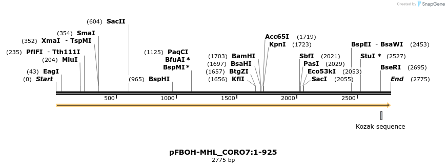 411322_map