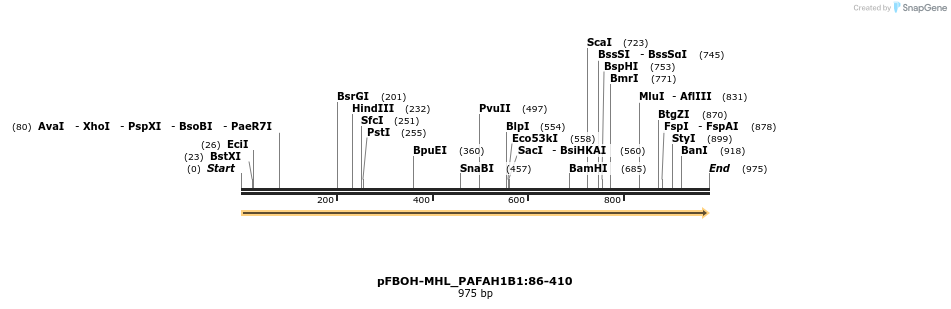 411326_map