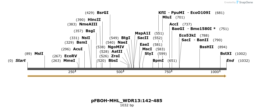 411328_map