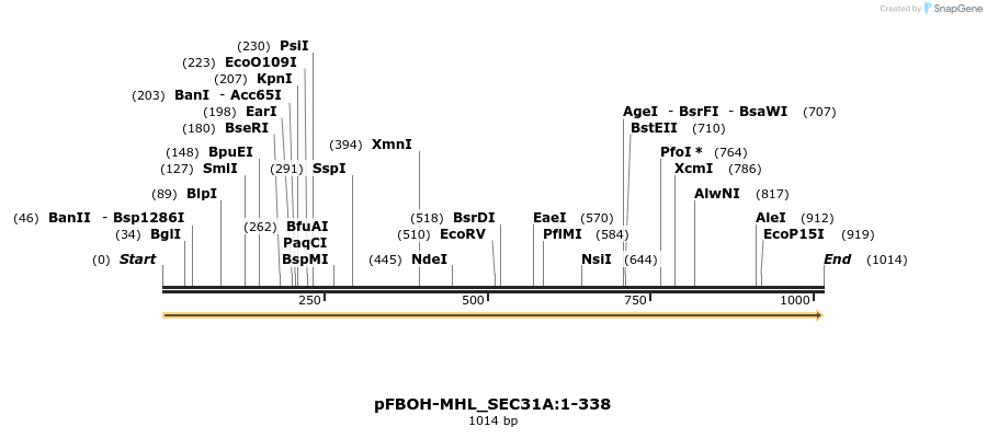 411330_map
