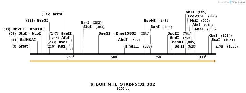411332_map