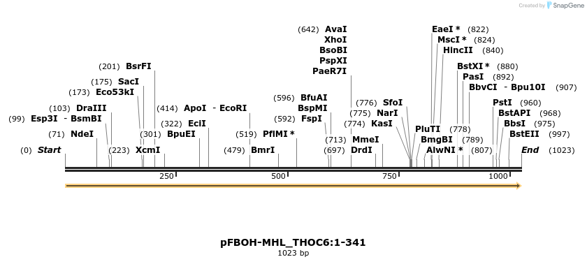 411334_map