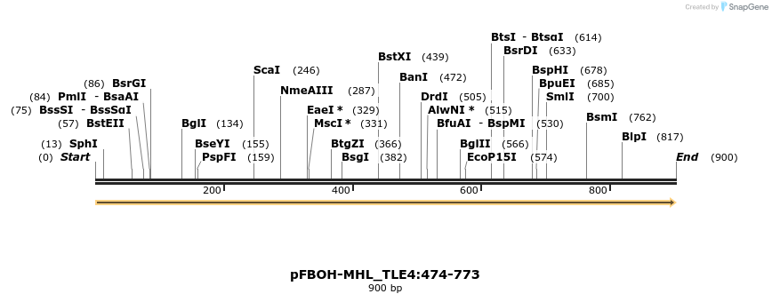 411338_map