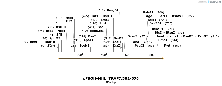 411340_map