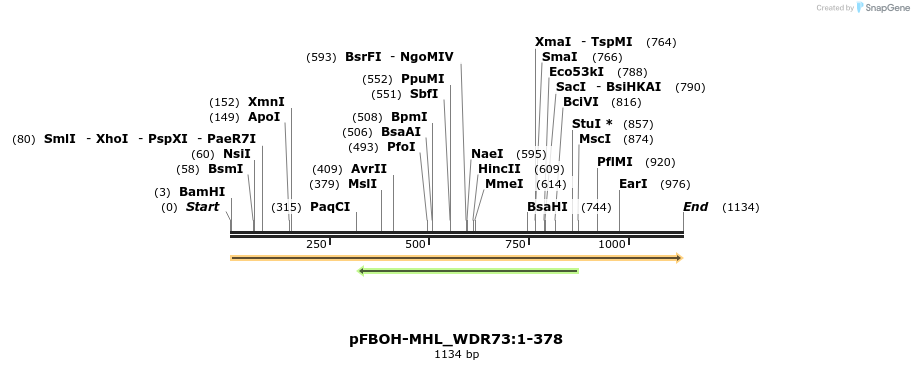 411344_map