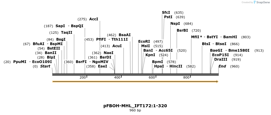 411348_map