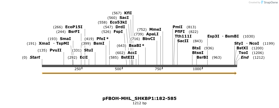 411350_map