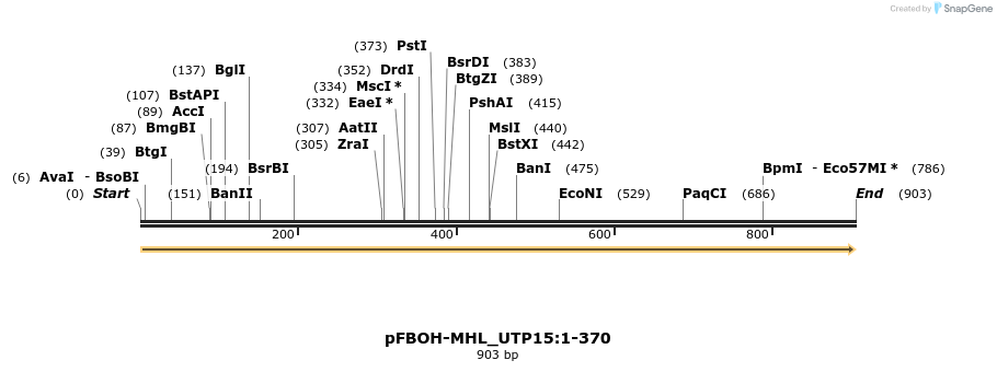 411354_map